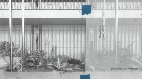 Image by Jamie Logie