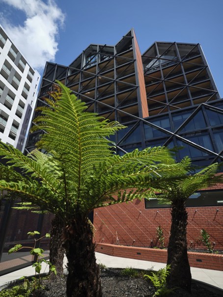 HomeGround—Auckland City Mission Te Tāpui Atawhai