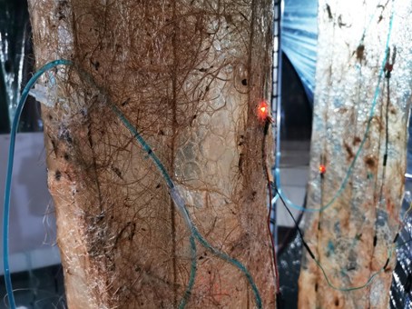 An image from 'CyberBio Architecture' by Jacky Ziyi Zheng