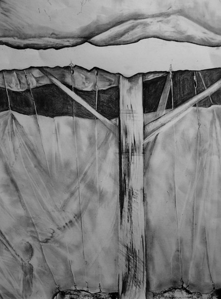 Image by Ella Jones.