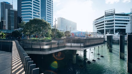 Te Wānanga