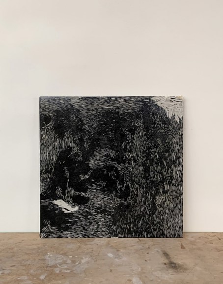 Image by Lise Jansen-Luke.