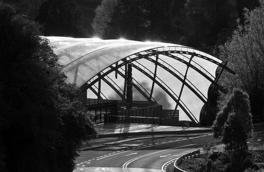 2011 Architecture Medal