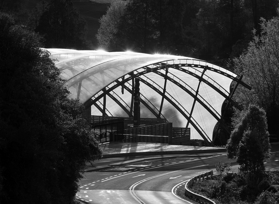 2011 Arch Medal Waitomo