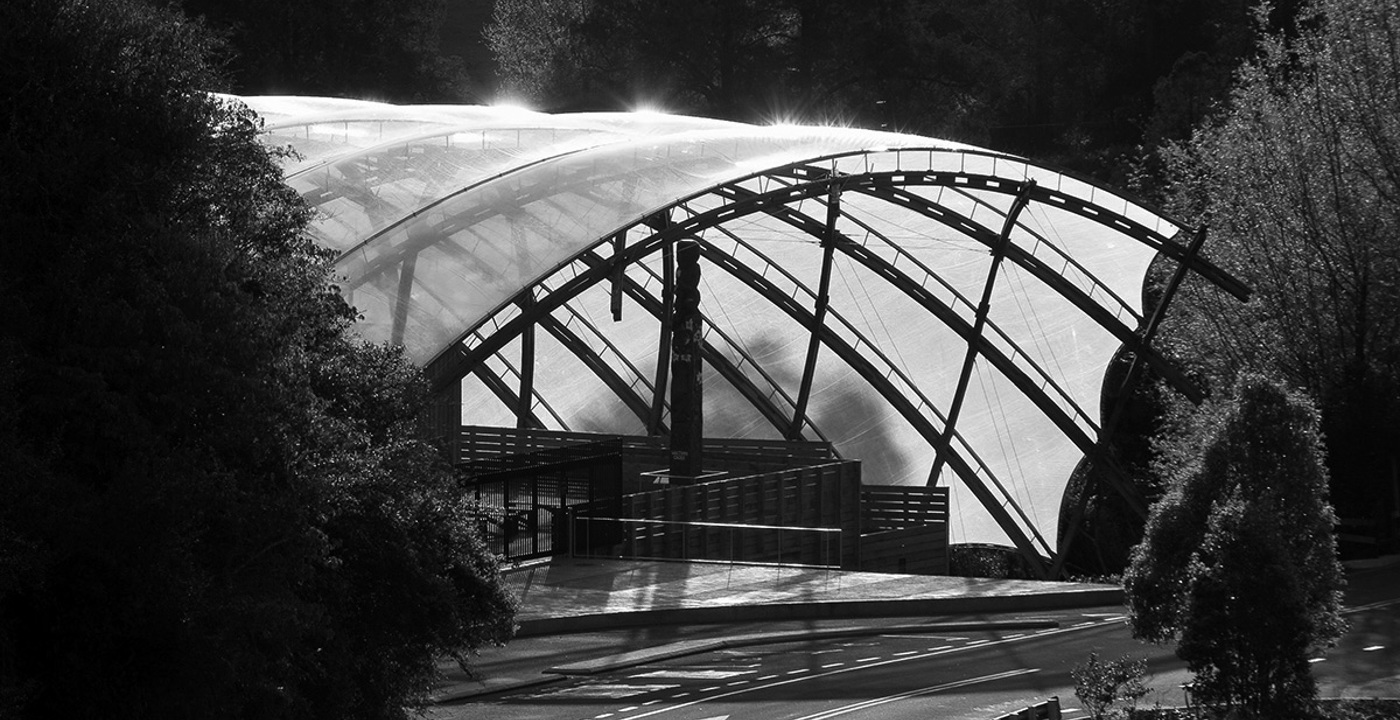 2011 Arch Medal Waitomo