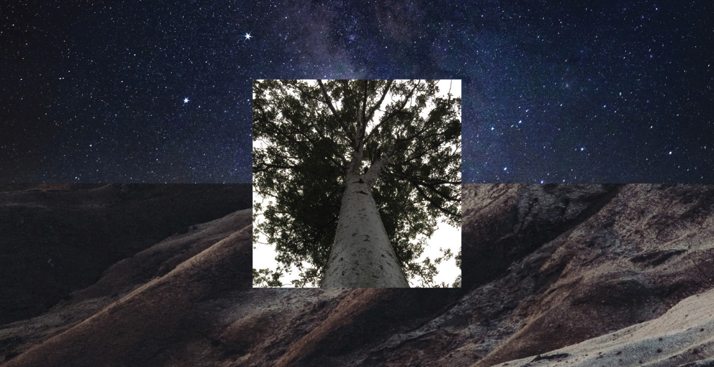 Nga Wharerangi Turnbull