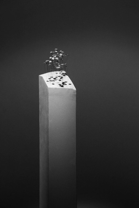 Image by Ella Jones.