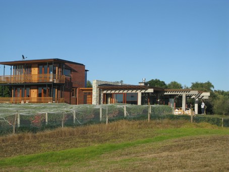 House for Awhitu Wines, Awhitu Peninsula