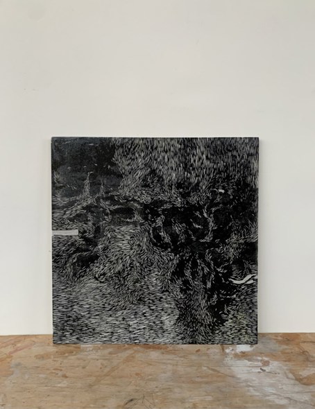 Image by Lise Jansen-Luke.