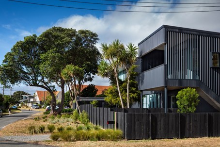 Hinau Street House + Apartment