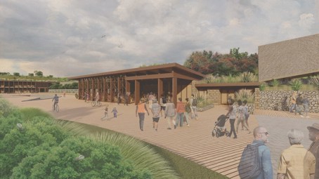 Image by Victoria Carran