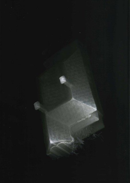 Image by Tom Collins