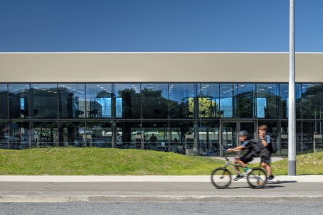 St Patrick's College - Resilient Renewal 