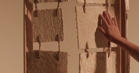 An image by Maria Walker.