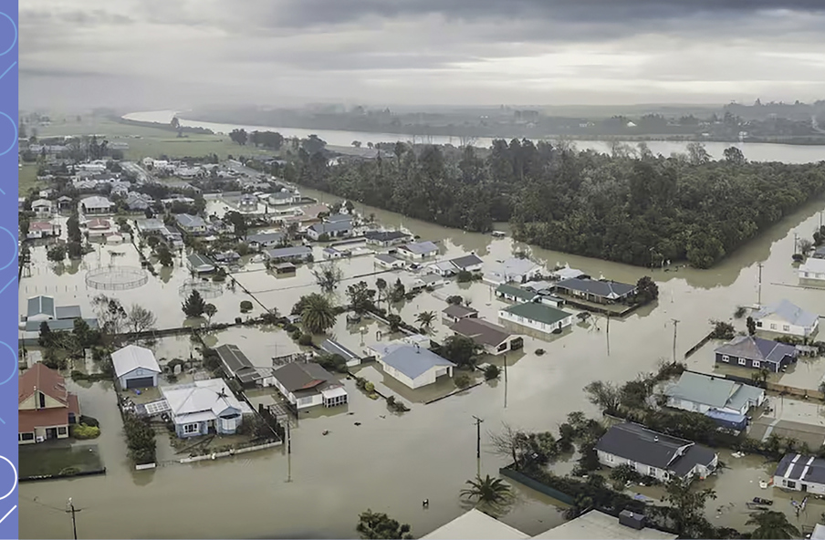 Adapting with nature – Part 2: Westport