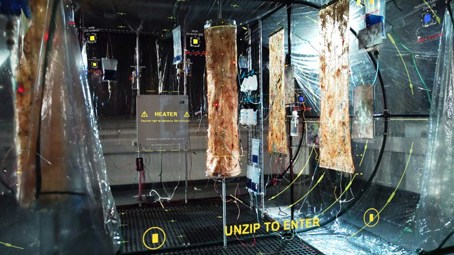 An image from 'CyberBio Architecture' by Jacky Ziyi Zheng