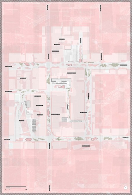 Image by William Creighton.