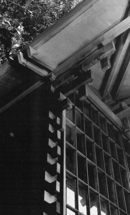 A detail from 'The Human House'
