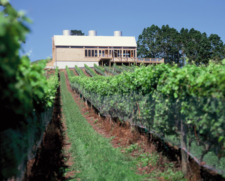 Mahurangi Estate Winery, 2001. 