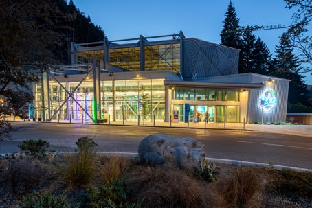Skyline Queenstown — Top & Bottom Gondola Terminal