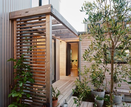 Beach Forest House