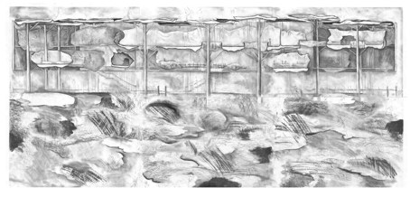 Image by Ella Jones.