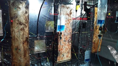 An image from 'CyberBio Architecture' by Jacky Ziyi Zheng