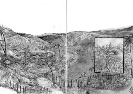 A drawing from 'The Boneva' (To Drink Tea) by Dimitri Thamel.